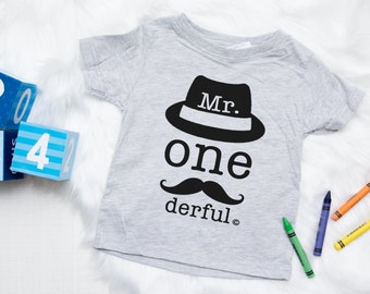 1st Birthday shirt, Mr onederful shirt, Mr Onederful tee, 1st birthday tee, 1stBirthday boy shirt, Boys first birthday outfit