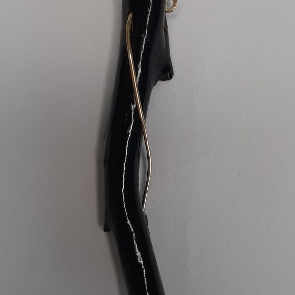 REAL and Rare Genuine black coral stick (polished) with 14k gold pendant
