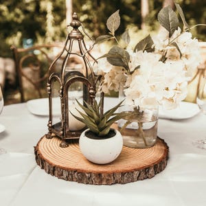 Juego de rodajas de madera para centros de mesa • Centros de mesa para bodas • Centros de mesa para baby shower • Decoración de mesas • Centros de mesa rústicos para fiestas y eventos imagen 4