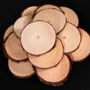 May include: A collection of small, round wooden slices with visible growth rings and dark brown bark edges. The natural wood color varies from light to medium brown. The slices are arranged on a black background.