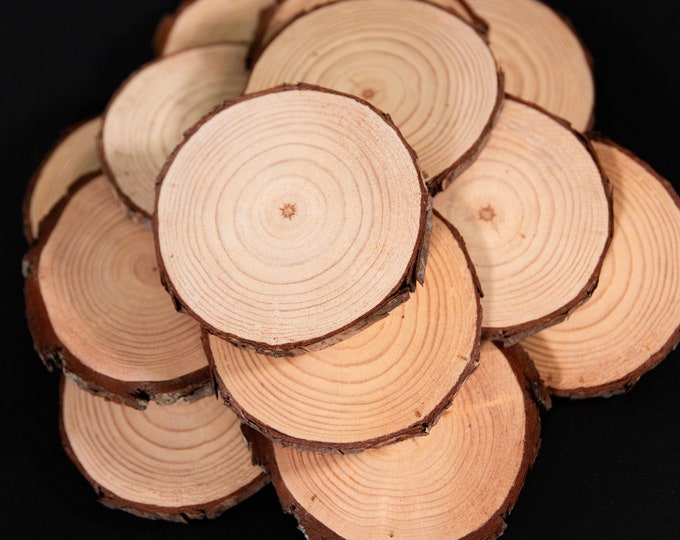 Wood Slices for Crafts Bulk Wood Slices, Craft Supplies, Wedding