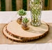 Set of 15 - 11 inch wood slab centerpieces! wood slabs, wedding reception decor, wood centerpieces, tree rounds, wedding table decor! 