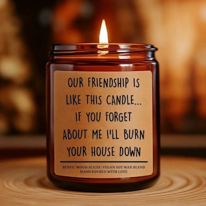 Birthday Gift for Friend! Funny Candle Gift, Friend Birthday Gift, BFF Gift, Gag Gift, Housewarming Gift Our Friendship is Like This Candle