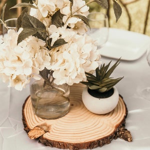 Set of 10-11 inch wood slices, wood slabs, wood slice centerpieces, wood slab centerpieces, wood slice centerpieces, rustic wedding decor image 5