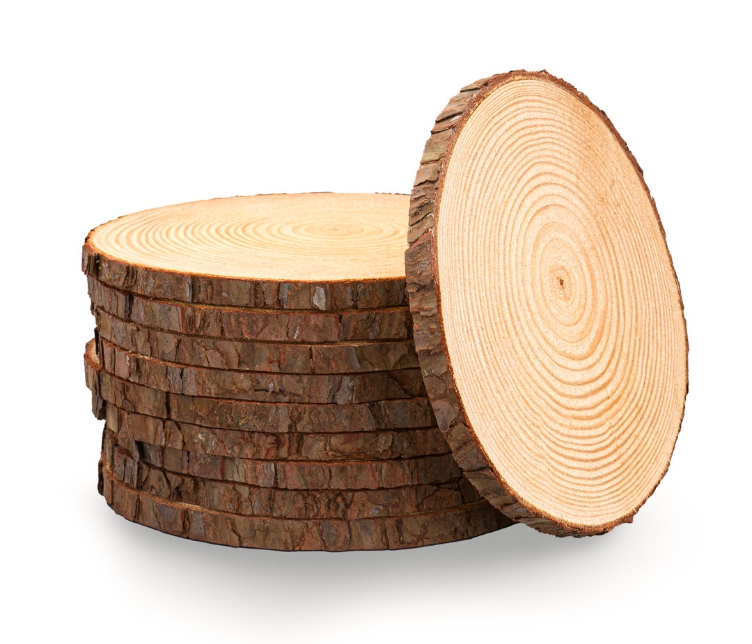 Set of 10 11 Inch Wood Slices Wood Slabs Wood Slice Centerpieces
