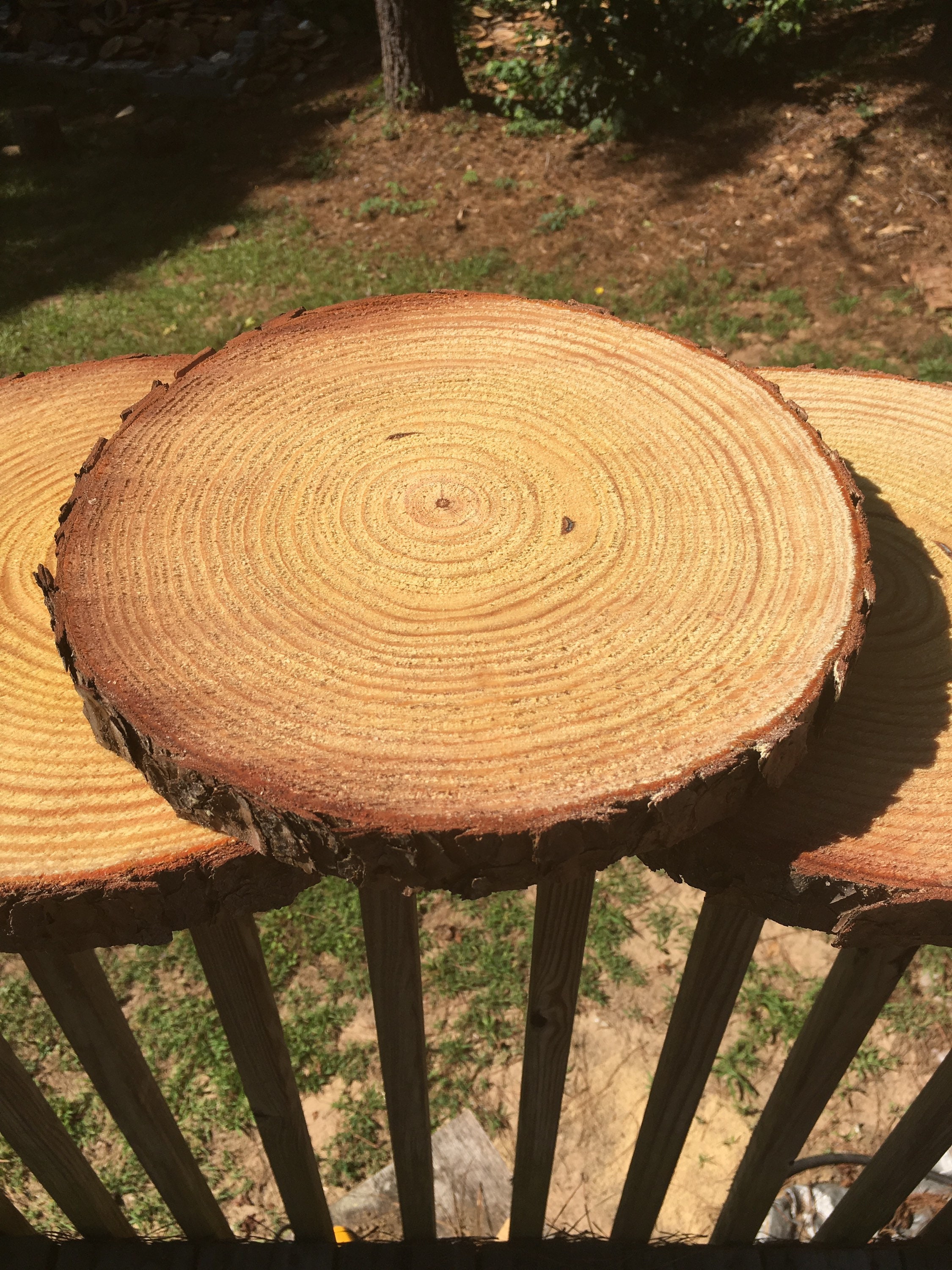Conjunto de círculos de madera de 20 a 11 pulgadas círculos | Etsy
