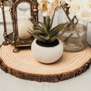 Rustic Wood Slices: Wedding Centerpieces, Bulk Set of 24