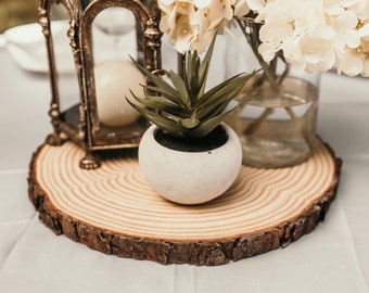 Set of 24 Rustic Wood Slices! Bulk wood slices, wedding centerpieces, wedding decor, rustic wedding decor, wood centerpieces for tables!