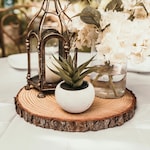 Centerpieces