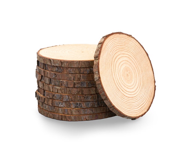 Wood Slices Bulk 