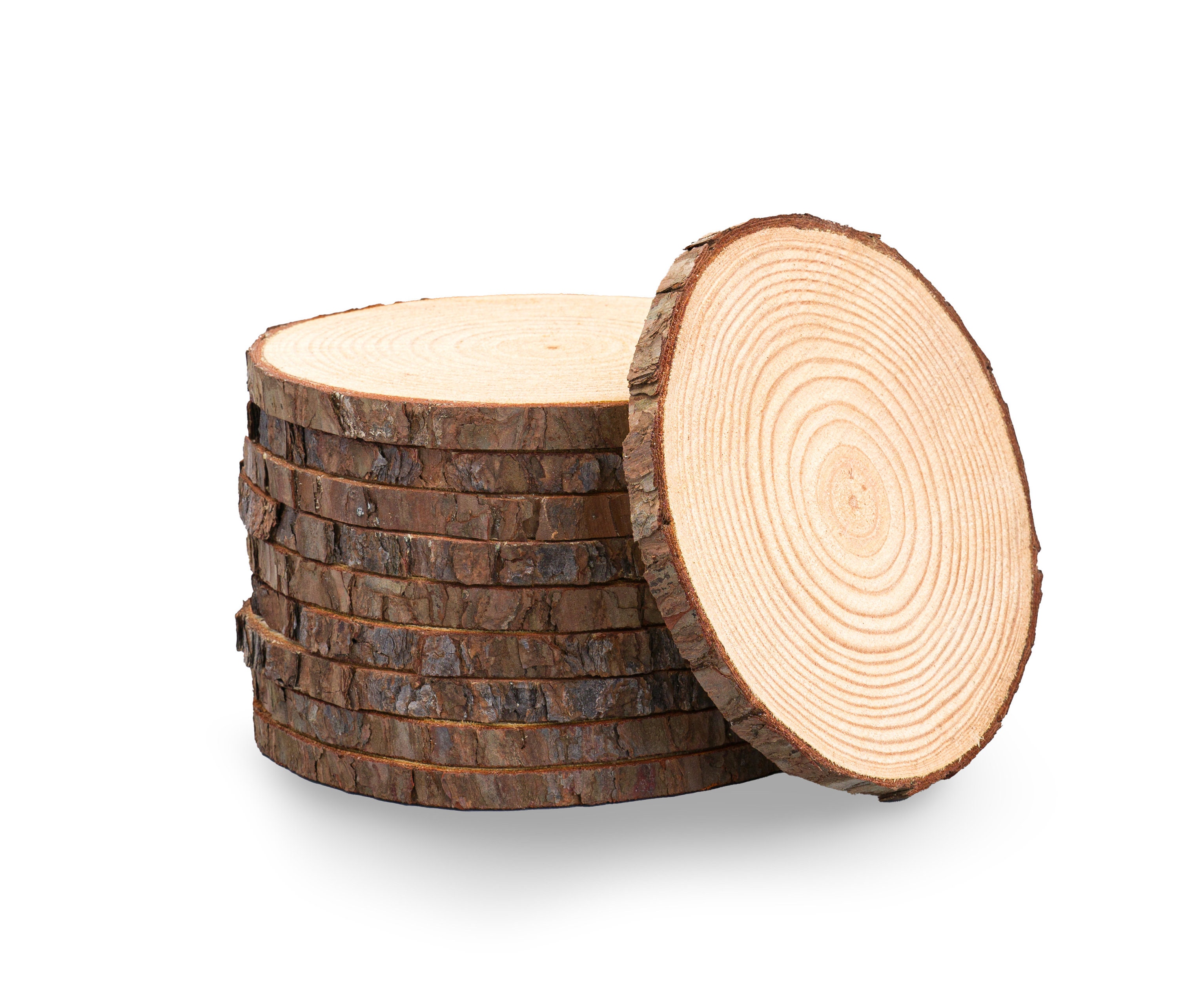 Set of 10 4 Inch 5 Inch Oak Slices Oak Oak Circles Wooden Slices Tree  Slices Wood Slices Rustic Wood Pieces Wooden Slices Natural Wood 