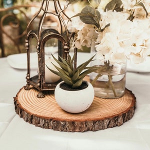 May include: A rustic wooden slice with a white planter holding a small succulent plant. A vintage metal lantern with a candle inside sits on the wood slice. White flowers in a glass vase are in the background.