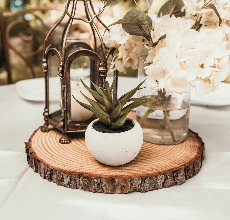 May include: A rustic wooden slice with a white planter holding a small succulent plant. A vintage metal lantern with a candle inside sits on the wood slice. White flowers in a glass vase are in the background.