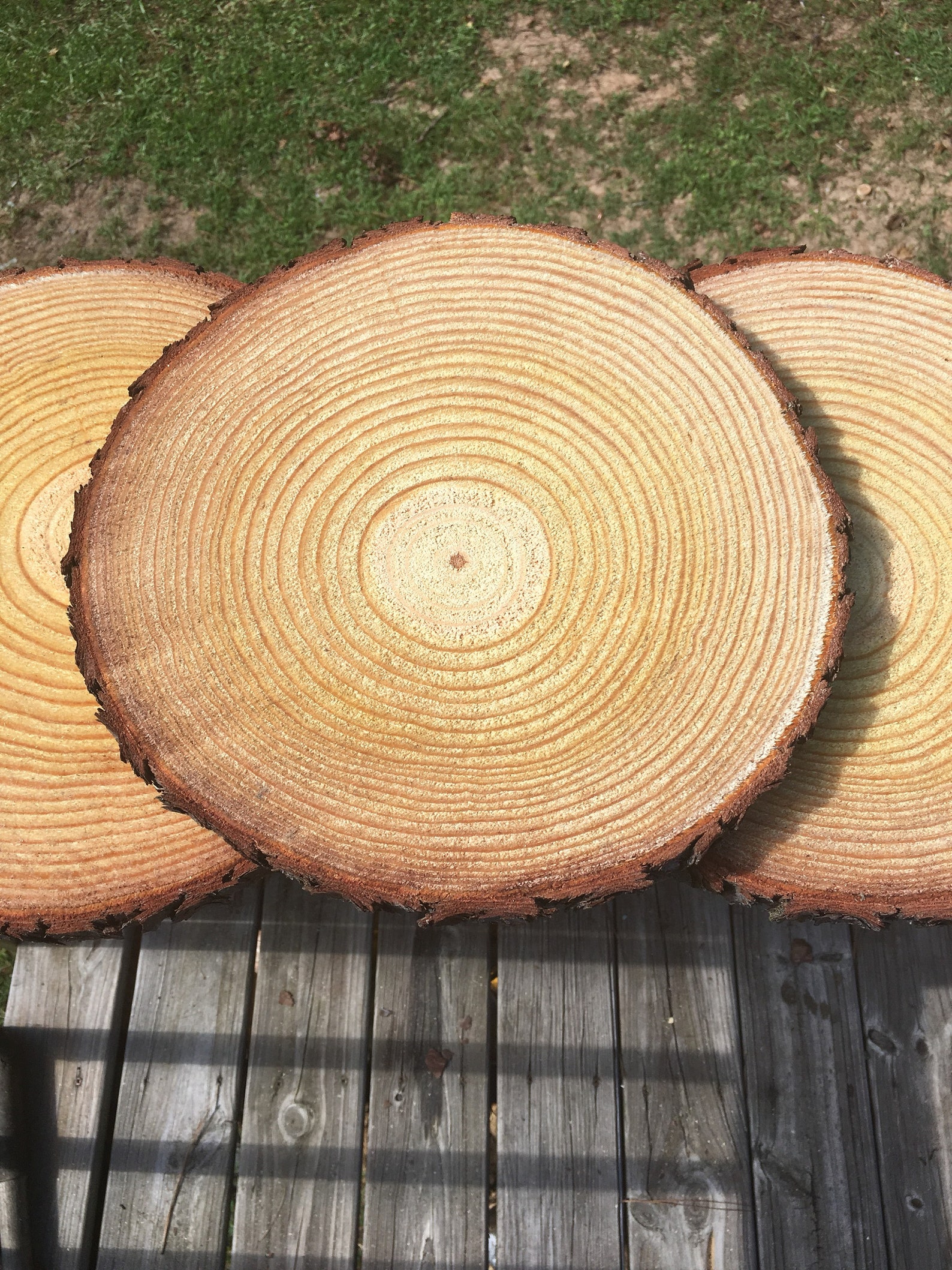 Set of 15 14 inch wood slabs for sale wood slices large wood Etsy