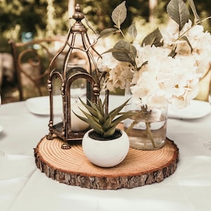12-13 inch Kiln-Dried Wood Slices: Rustic Wedding Centerpieces (Set of 10-25)