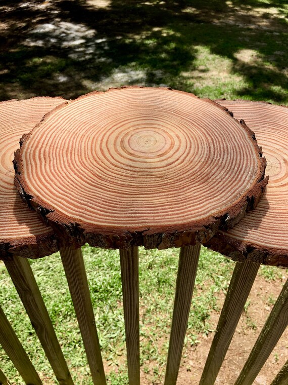 Crafts for DIY Large Unfinished Natural Wood Slices 7-8 inch 3 Pieces Wood Circles with Tree Bark for Table Centerpieces Wedding Home Decor Christmas Ornaments 