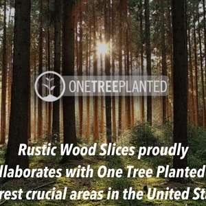 May include: Image of a forest with tall trees and sunlight shining through. The text reads "Rustic Wood Slices proudly collaborates with One Tree Planted to reforest crucial areas in the United States!" A logo for One Tree Planted is also visible.