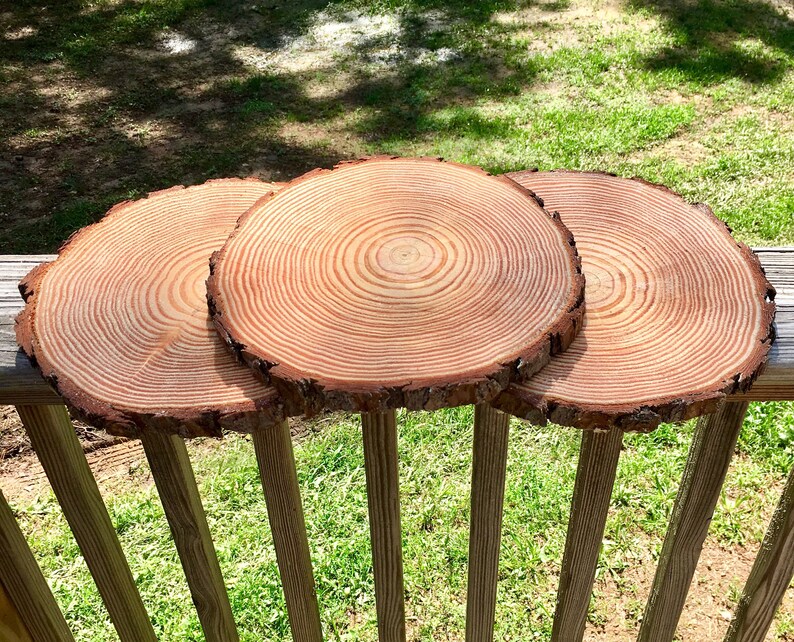 Set Of 10 9 Inch Wood Slices Wedding Centerpieces Image 0