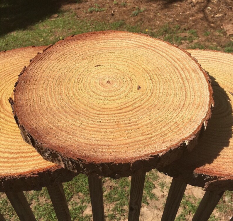 Set Of 15 11 Inch Wood Slab Centerpieces Slabs Image 0