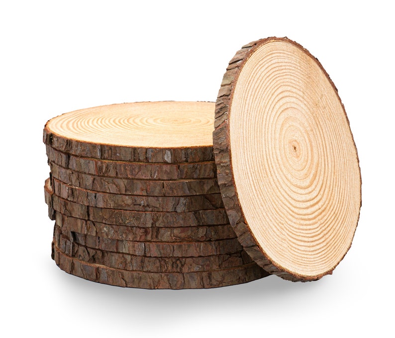 Puede incluir: Una pila de rodajas de madera redondas, con una rodaja de pie. Las rodajas son de madera marr&oacute;n claro con patrones de veta visibles. La madera es sin terminar y tiene un aspecto natural y r&uacute;stico.