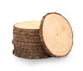 Kiln-Dried Wood Slices: 9-10" Rustic Centerpieces, USA Made