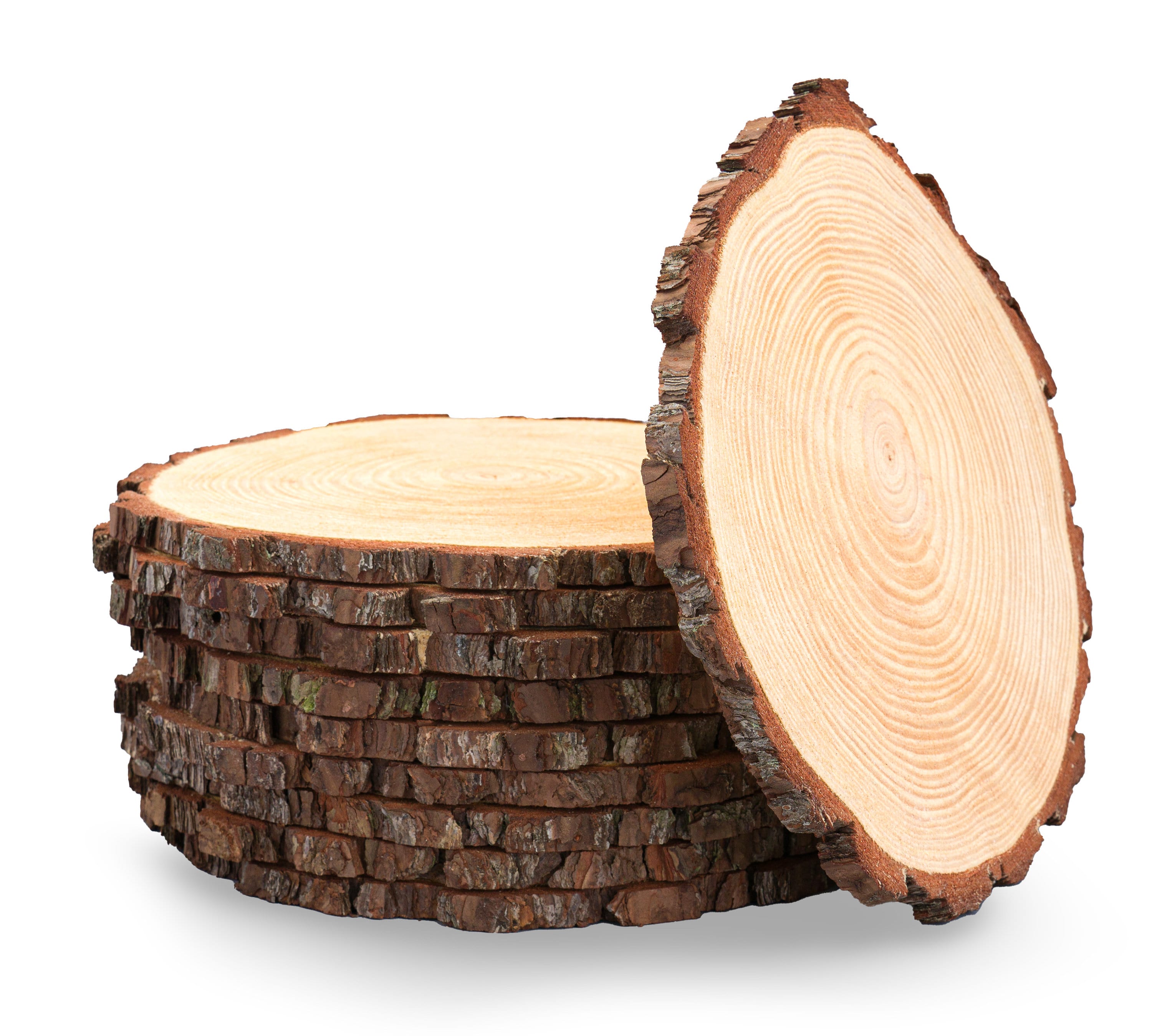 40 PCS Natural Wood Slices 3-1/2 Diameter Round Tree Limb Slices