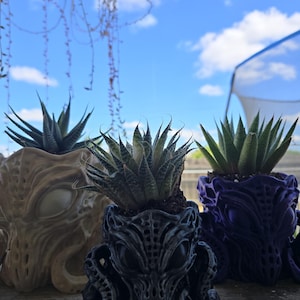May include: Three succulent plants potted in detailed, creature-like planters. The planters feature intricate, organic textures and large, recessed eye-like shapes. One planter is cream-colored, one is dark gray, and one is a deep, vibrant purple.