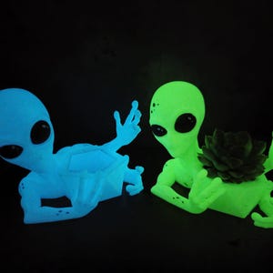 Puede incluir: Dos macetas brillantes con forma de alien&iacute;gena. Una es azul y est&aacute; vac&iacute;a, la otra es verde y contiene una suculenta verde oscuro. Ambas tienen grandes ojos negros y brazos extendidos, para una decoraci&oacute;n &uacute;nica.