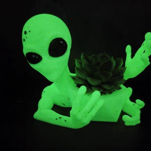 Puede incluir: Una maceta con forma de alien&iacute;gena verde brillante con grandes ojos negros y manos extendidas. Una planta suculenta verde oscuro se encuentra en el pecho del alien&iacute;gena. La maceta est&aacute; sobre un fondo negro.