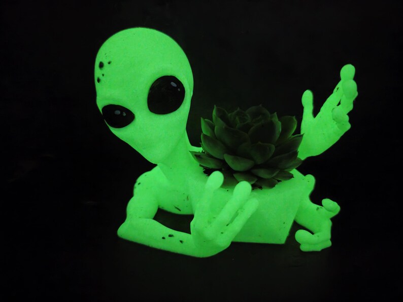Puede incluir: Una maceta con forma de alien&iacute;gena verde brillante con grandes ojos negros y manos extendidas. Una planta suculenta verde oscuro se encuentra en el pecho del alien&iacute;gena. La maceta est&aacute; sobre un fondo negro.