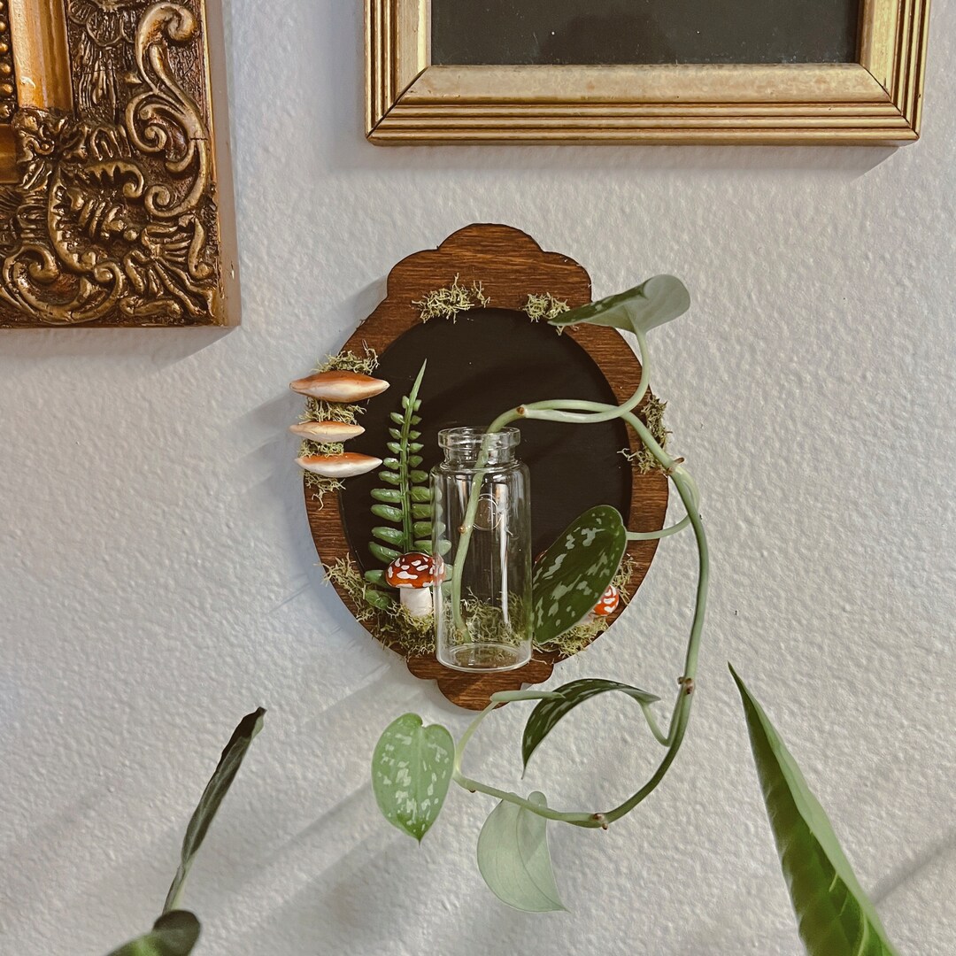 Vintage Wood Mushroom Frame Wall Planter | Propagation Station Wall Hanging