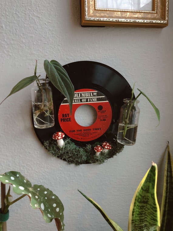 Upcycled Vintage RPM Vinyl Record Plant Propagation Wall | Etsy