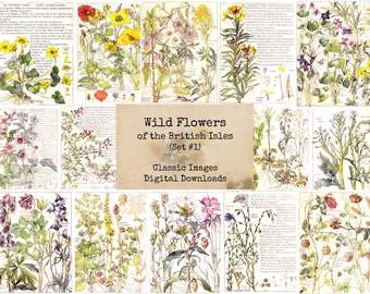 Mrs Grossman WILD FLOWERS Studion Line Flowers Stickers Vintage