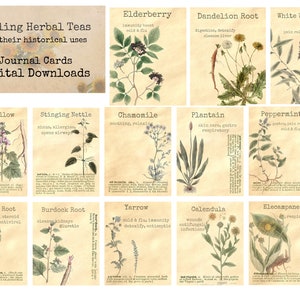 Chás de ervas curativas - clássicos efêmeros, imagens para impressão, arte vintage, download instantâneo, colagem digital, arte efêmera, ervas medicinais