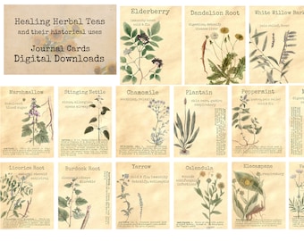 Healing Herbal Teas - Ephemera Classics, Printable Images, Vintage Art, Instant Download, Digital Collage, Art Ephemera, Medicinal Herbs