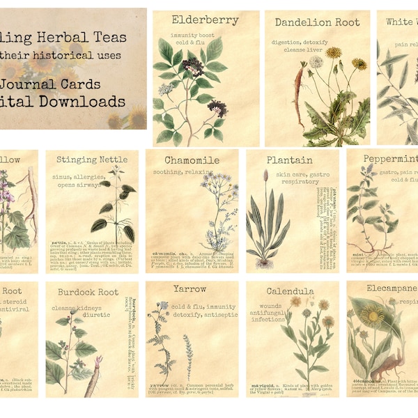 Healing Herbal Teas - Ephemera Classics, Printable Images, Vintage Art, Instant Download, Digital Collage, Art Ephemera, Medicinal Herbs