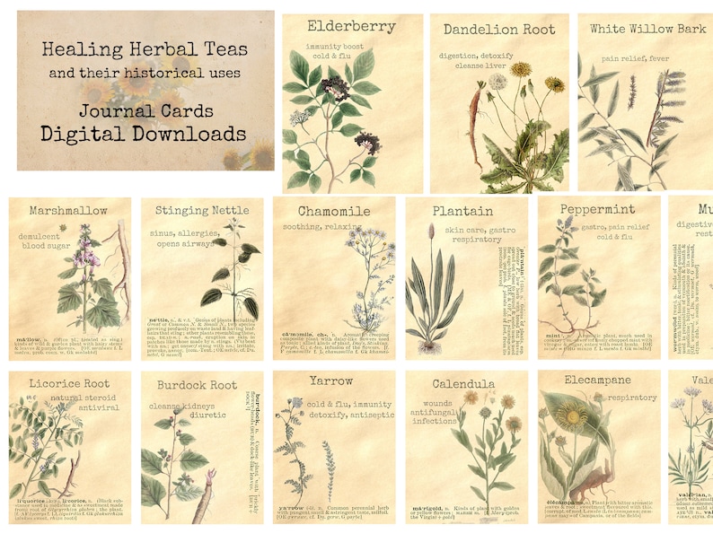 healing-herbal-teas-ephemera-classics-printable-images-etsy-uk