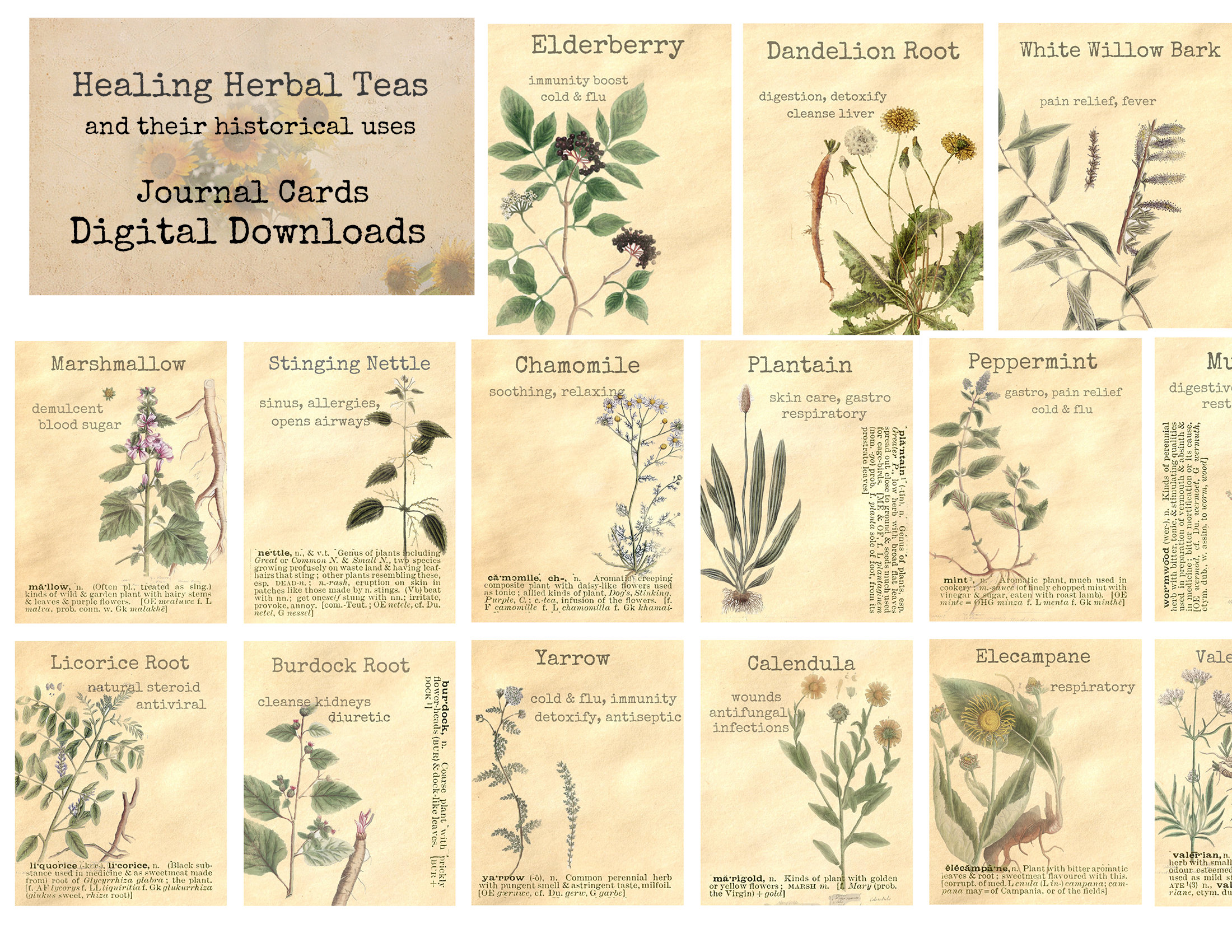 Healing Herbal Teas Ephemera Classics Printable Images