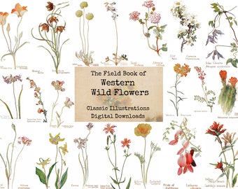 The Field Book of Western Wild Flowers - Digital Ephemera Classics, Digital Images, Vintage Art, Digital Collage, Art Ephemera