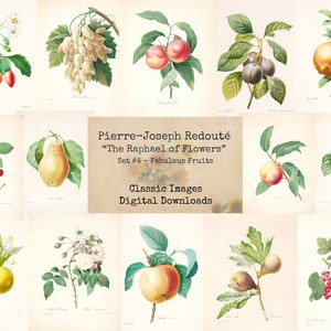 Redouté Set #4 - Fabulous Fruits, Pierre-Joseph Redouté, Printable Images, Vintage Art, Instant Download, Digital Collage, Book Pages