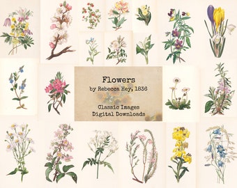 1836 Printable Images Flowers by Rebecca Hey Digital Ephemera Vintage Art Book Pages Digital Collage Instant Download