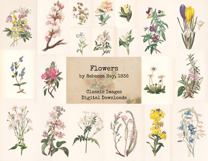 1836 Printable Images Flowers by Rebecca Hey Digital Ephemera Vintage Art Book Pages Digital Collage Instant Download