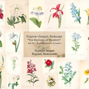 Redouté Set #2 - The Most Beautiful Flowers, Pierre-Joseph Redouté, Printable Images, Vintage Art, Instant Download, Book Pages