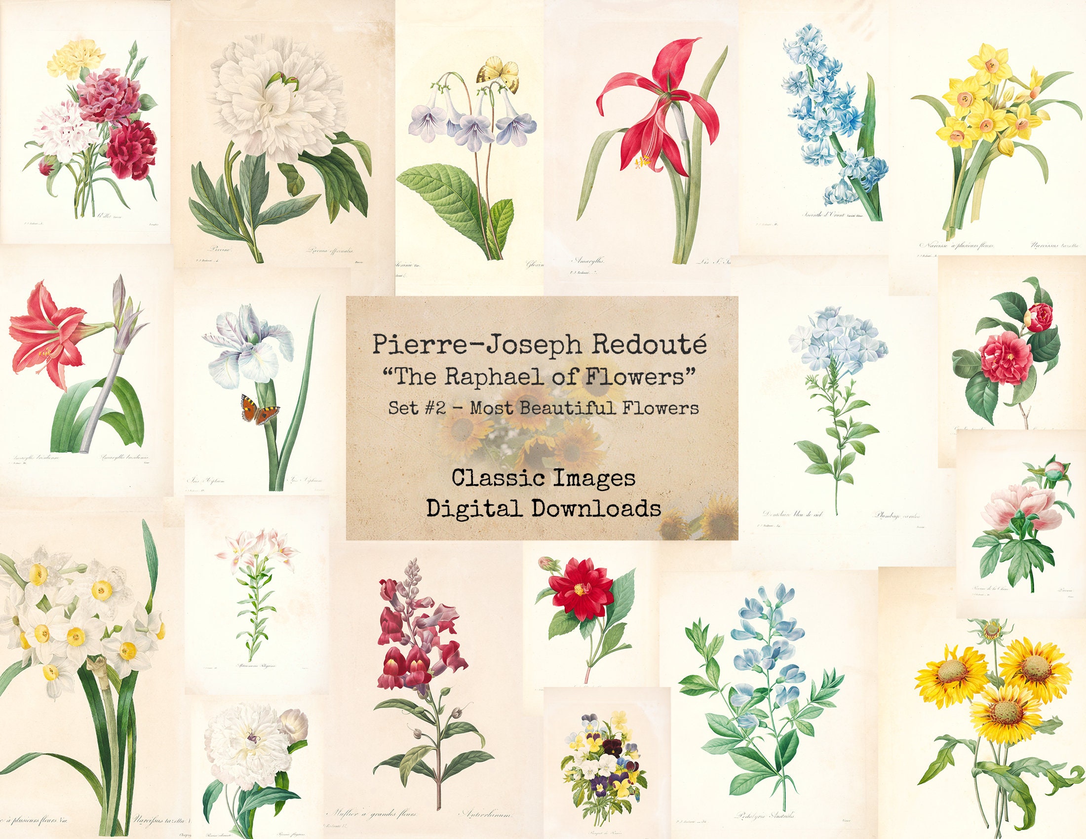 Redouté Set 2 The Most Beautiful Flowers PierreJoseph Etsy