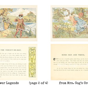 May include: Two vintage illustrations with text about flower legends. The first image shows a knight and two ladies in a forest setting. The second image shows a woman in a blue dress with a red cloak, reaching for a rose bush. The text reads "The Forget-Me-Not" and "Roses Red and White".