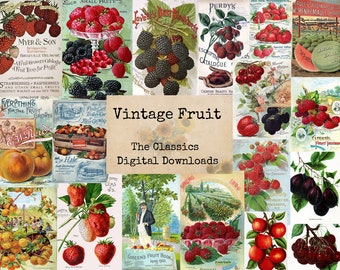 Vintage Fruit - Digital Ephemera Classics, Digital Images, Vintage Art, Instant Download, Digital Collage, Art Ephemera