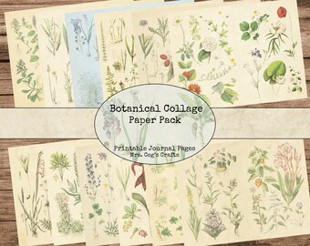 Botanical Collage  - Paper Pack, Printable Journal Pages, Digital Journal, Vintage Images, Printable Paper