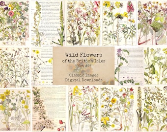 Wild Flowers of the British Isles Set #2 - Digital Ephemera, Printable Images, Vintage Art, Instant Download, Digital Collage, Book Pages