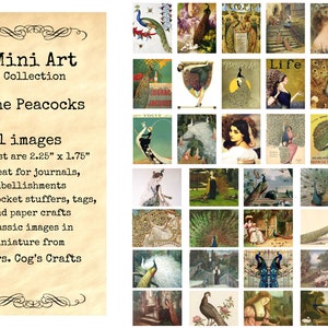 Mini Art - The Peacocks - Printable Images, Digital Download, Miniature Images, Ephemera, Vintage Images, Embellishments
