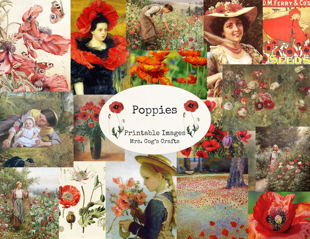 Poppies Printable Images, Digital Ephemera, Vintage Art, Instant Download, Digital Paper
